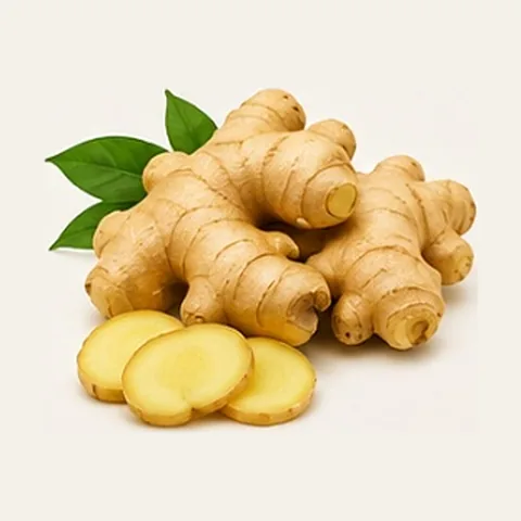 Ginger fresh rhizome