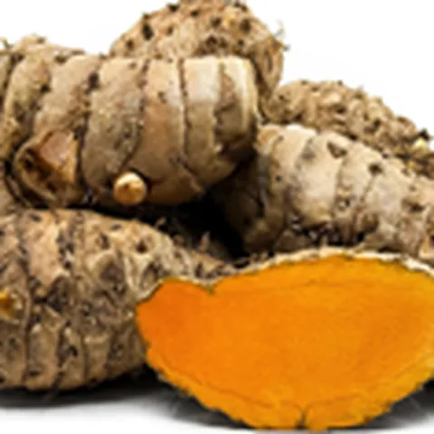 Turmeric mother rhizomes (gatta, bulb)