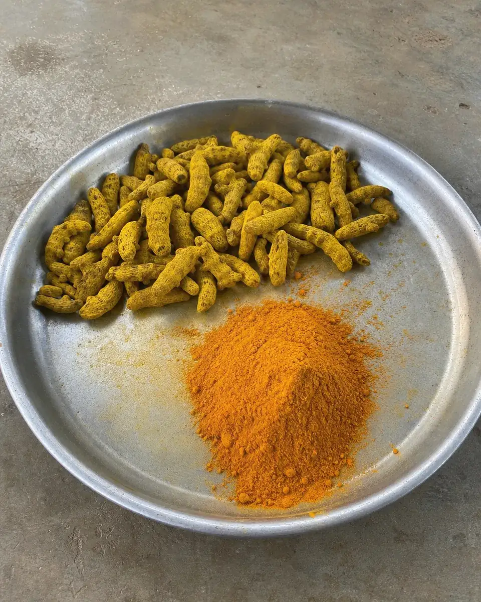 Dried polished turmeric fingers and turmeric powder on a steel tray
